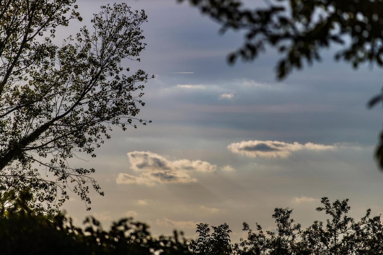 B&B Al Chicco D'Uva Morro dʼAlba Zewnętrze zdjęcie