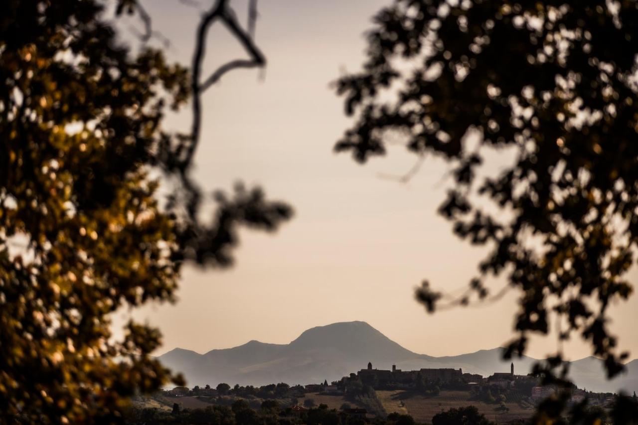 B&B Al Chicco D'Uva Morro dʼAlba Zewnętrze zdjęcie