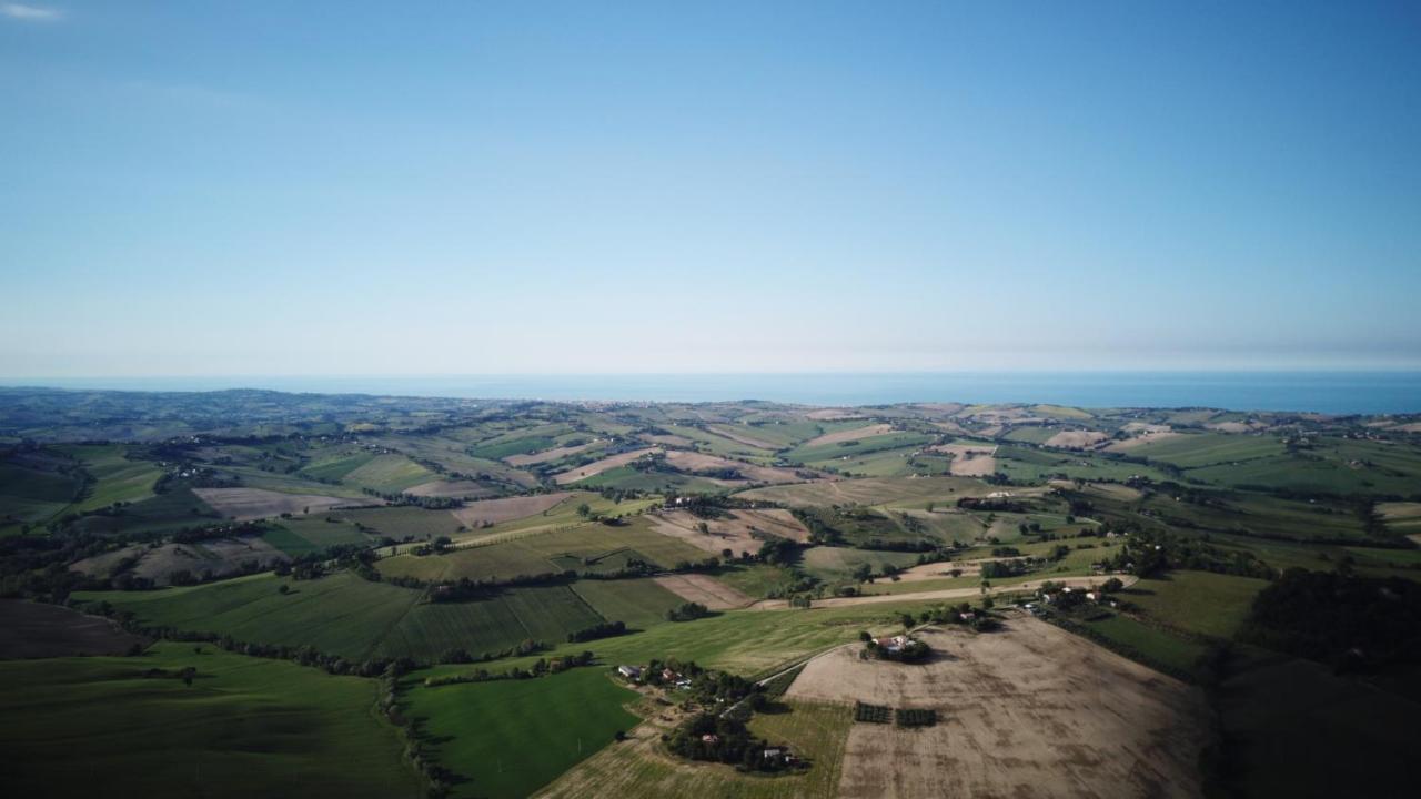 B&B Al Chicco D'Uva Morro dʼAlba Zewnętrze zdjęcie