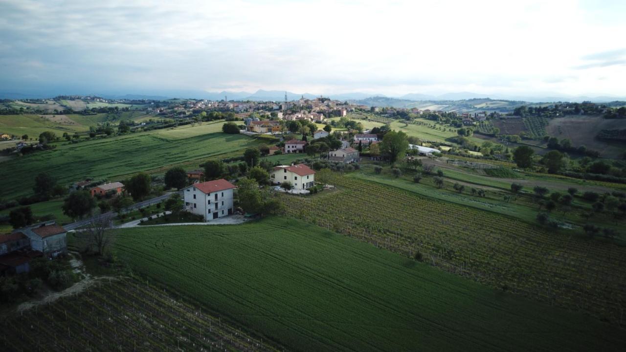 B&B Al Chicco D'Uva Morro dʼAlba Zewnętrze zdjęcie